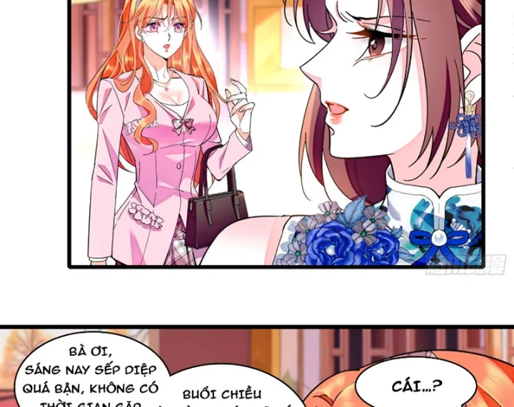 Chàng Rể Bị Vứt Bỏ Lên Ngôi Chapter 21 - 36