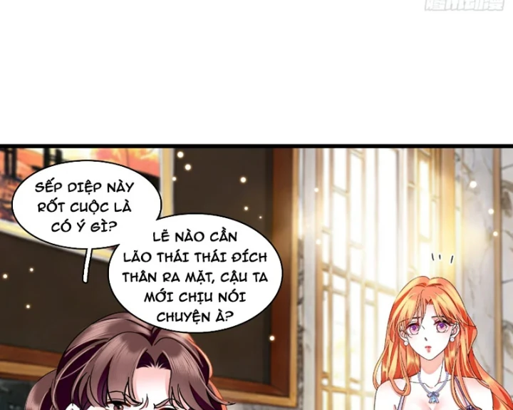 Chàng Rể Bị Vứt Bỏ Lên Ngôi Chapter 24 - 35