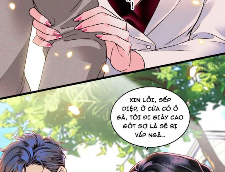 Chàng Rể Bị Vứt Bỏ Lên Ngôi Chapter 25 - 43