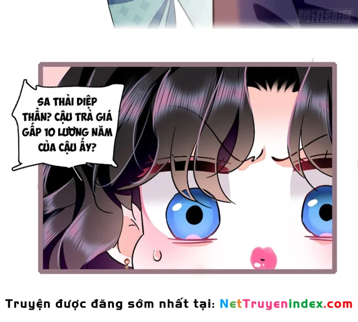 Chàng Rể Bị Vứt Bỏ Lên Ngôi Chapter 27 - 12