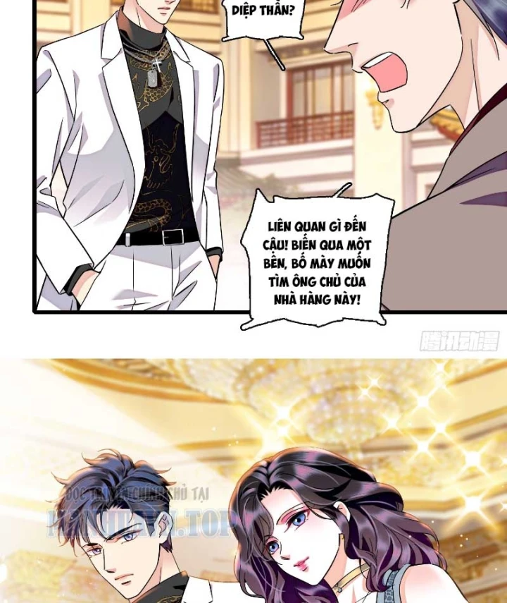 Chàng Rể Bị Vứt Bỏ Lên Ngôi Chapter 28 - 19