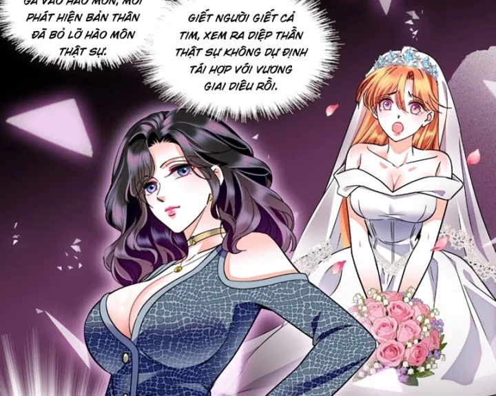 Chàng Rể Bị Vứt Bỏ Lên Ngôi Chapter 29 - 4