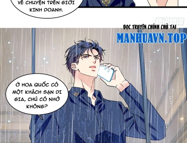 Chàng Rể Bị Vứt Bỏ Lên Ngôi Chapter 30 - 49