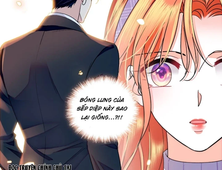 Chàng Rể Bị Vứt Bỏ Lên Ngôi Chapter 31 - 53