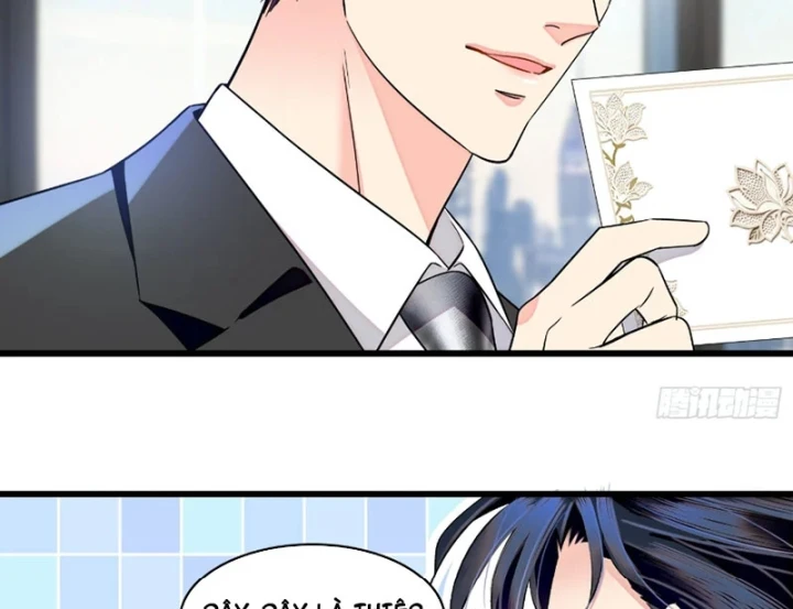 Chàng Rể Bị Vứt Bỏ Lên Ngôi Chapter 31 - 62