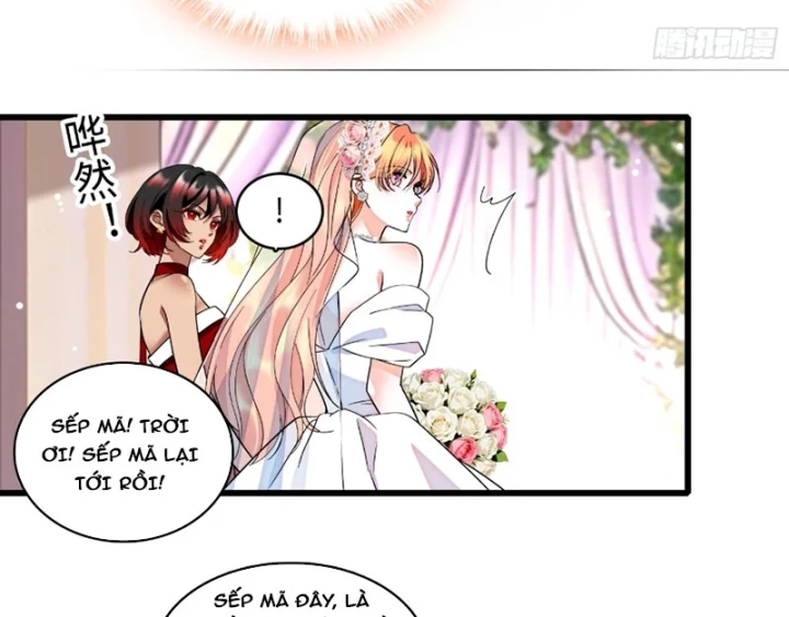Chàng Rể Bị Vứt Bỏ Lên Ngôi Chapter 32 - 54