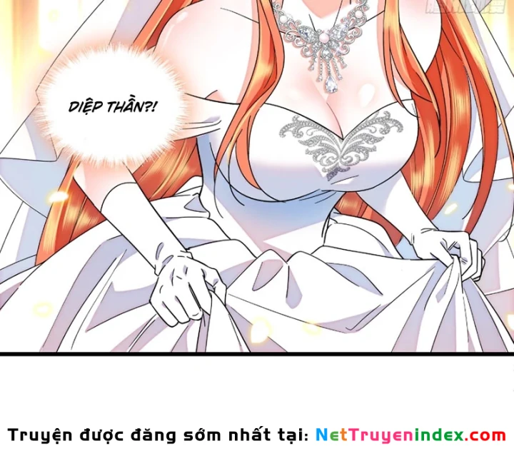 Chàng Rể Bị Vứt Bỏ Lên Ngôi Chapter 33 - 6