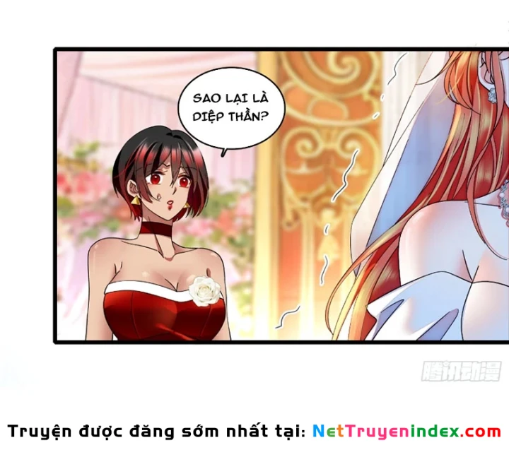 Chàng Rể Bị Vứt Bỏ Lên Ngôi Chapter 33 - 7