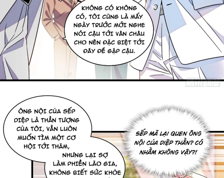 Chàng Rể Bị Vứt Bỏ Lên Ngôi Chapter 33 - 16