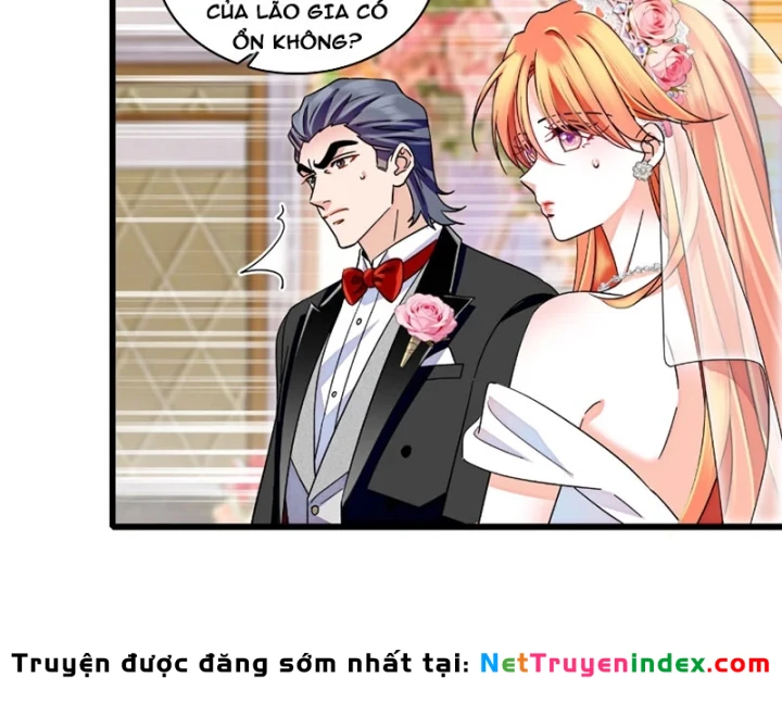 Chàng Rể Bị Vứt Bỏ Lên Ngôi Chapter 33 - 17