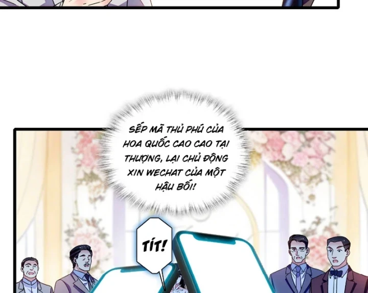 Chàng Rể Bị Vứt Bỏ Lên Ngôi Chapter 33 - 19