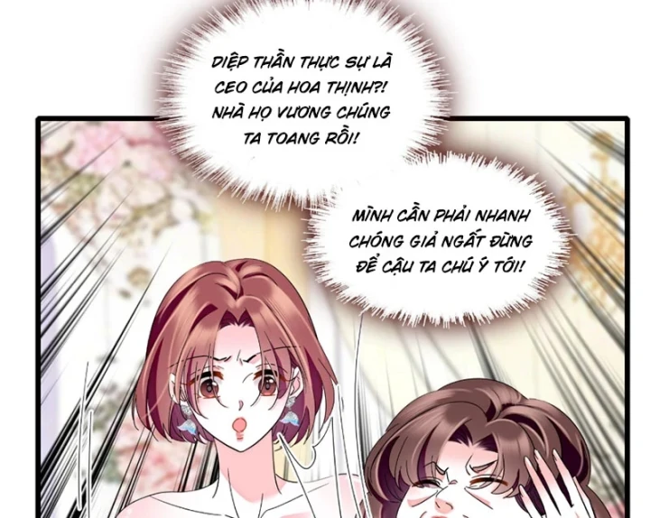 Chàng Rể Bị Vứt Bỏ Lên Ngôi Chapter 33 - 40