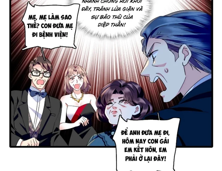 Chàng Rể Bị Vứt Bỏ Lên Ngôi Chapter 33 - 42