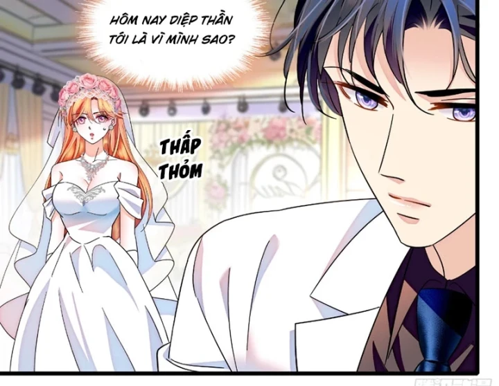 Chàng Rể Bị Vứt Bỏ Lên Ngôi Chapter 33 - 45