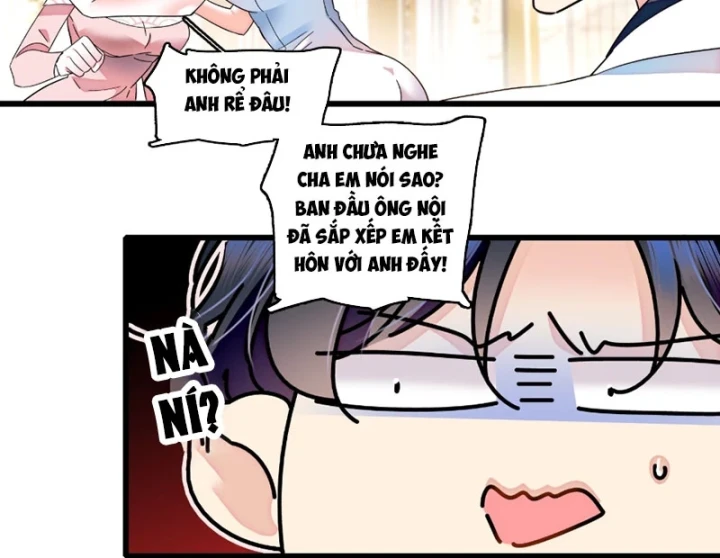 Chàng Rể Bị Vứt Bỏ Lên Ngôi Chapter 33 - 51