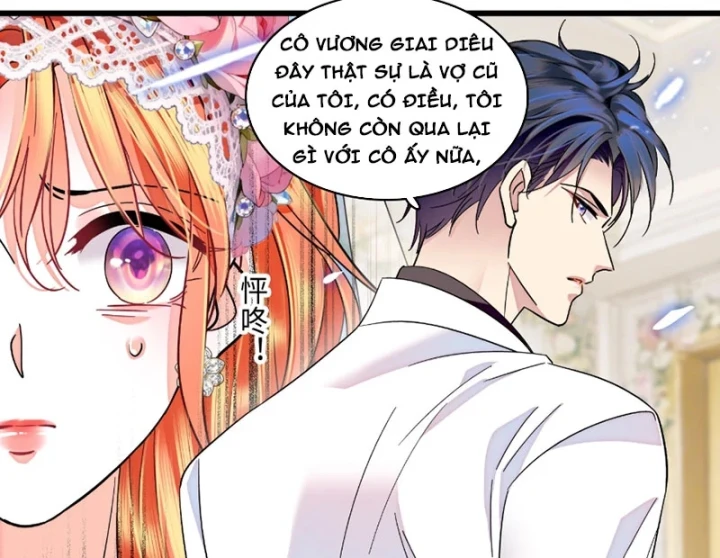 Chàng Rể Bị Vứt Bỏ Lên Ngôi Chapter 33 - 59