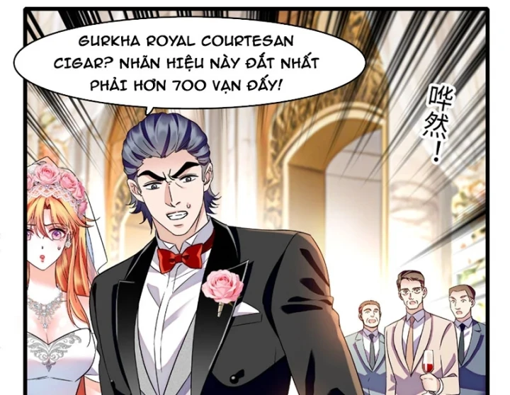 Chàng Rể Bị Vứt Bỏ Lên Ngôi Chapter 34 - 55