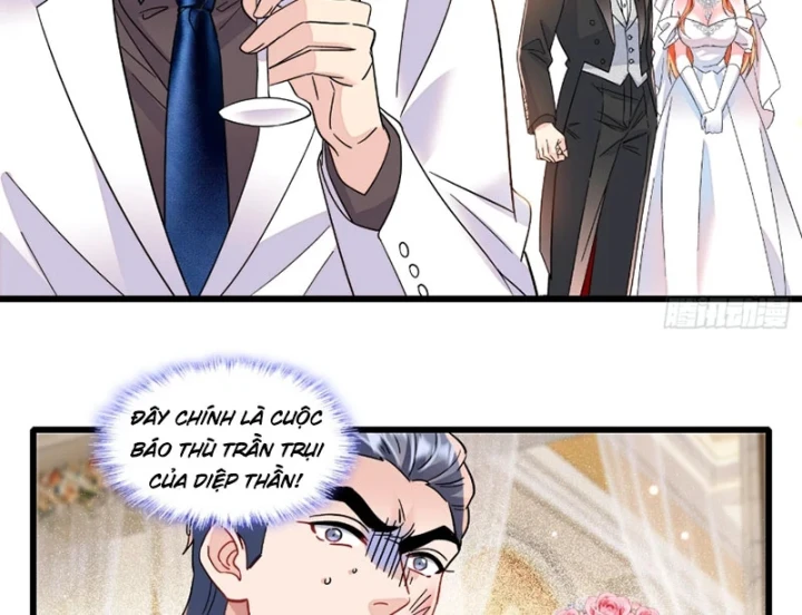 Chàng Rể Bị Vứt Bỏ Lên Ngôi Chapter 35 - 62