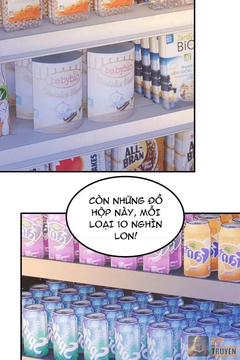 Hàn Băng Tận Thế: Ta Tích Trữ Trăm Tỷ Vật Tư Chapter 4 - 13