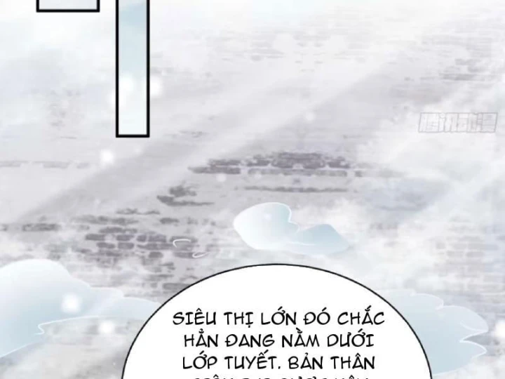 Hàn Băng Tận Thế: Ta Tích Trữ Trăm Tỷ Vật Tư Chapter 87 - 33