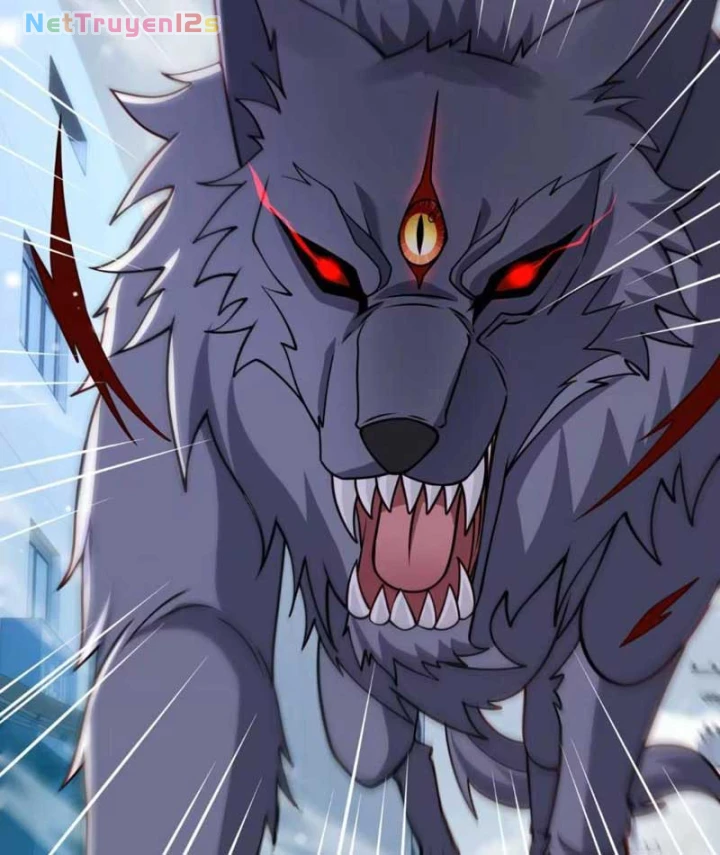 Hàn Băng Tận Thế: Ta Tích Trữ Trăm Tỷ Vật Tư Chapter 114 - 45