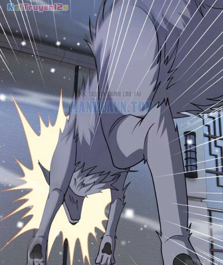 Hàn Băng Tận Thế: Ta Tích Trữ Trăm Tỷ Vật Tư Chapter 115 - 20
