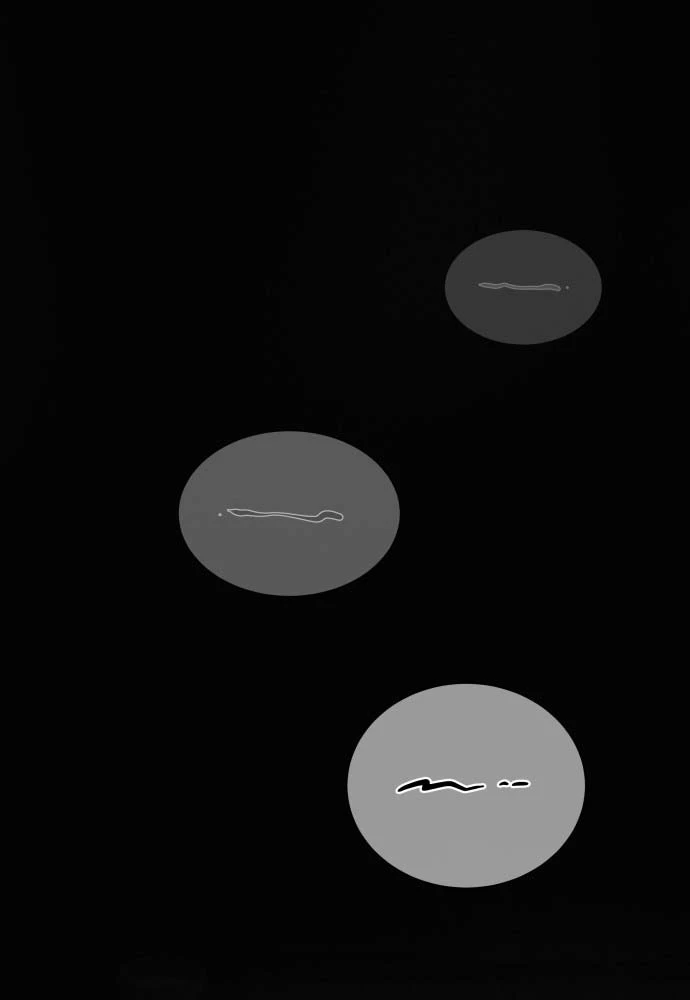 Tứ Xuyên Bá Vương Chapter 1 - 194