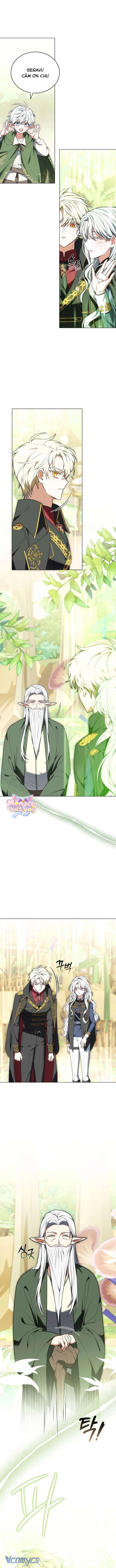 Tiểu Thư Là Kẻ Bám Đuôi Chapter  8 - 15