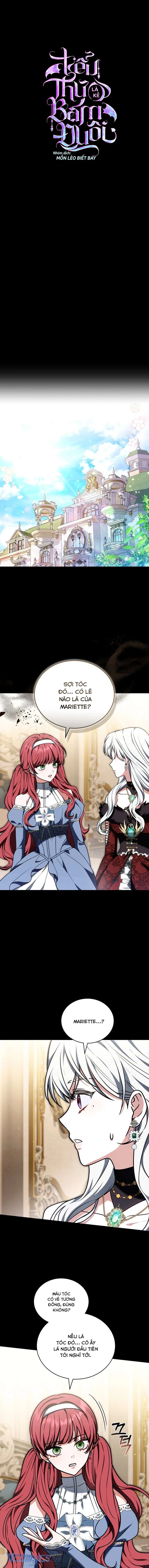 Tiểu Thư Là Kẻ Bám Đuôi Chapter  17 - 2