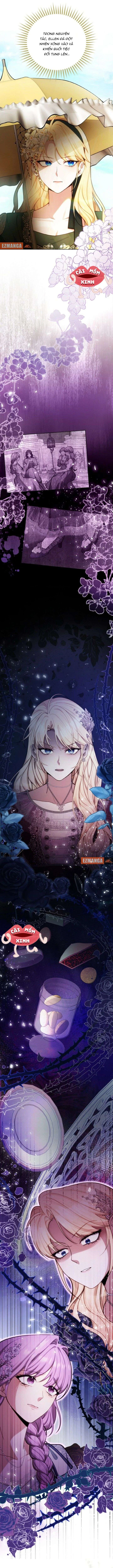 Khi Người Chồng Cũ Của Tôi Đòi Tái Hợp Chapter  4 - 4