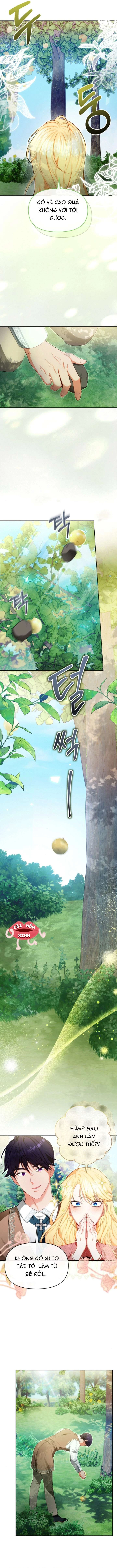 Khi Người Chồng Cũ Của Tôi Đòi Tái Hợp Chapter  13 - 13