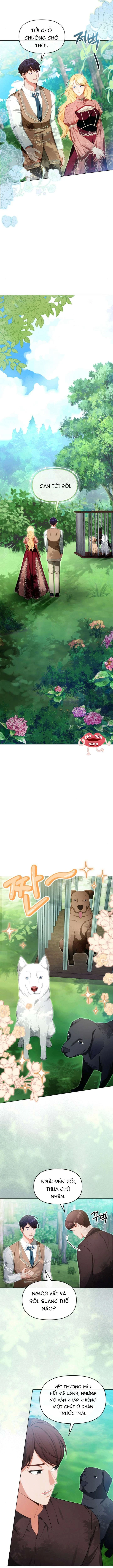 Khi Người Chồng Cũ Của Tôi Đòi Tái Hợp Chapter  13 - 16