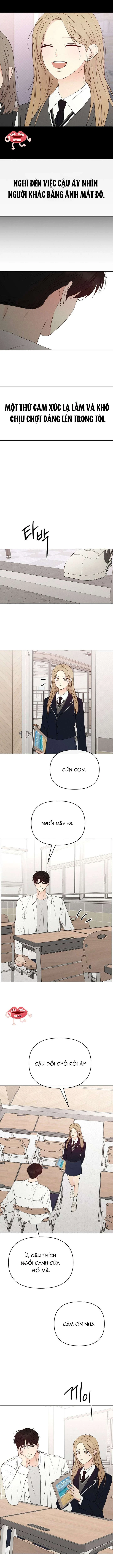 Soái Ca Kiểu Mẫu Chapter  17 - 11