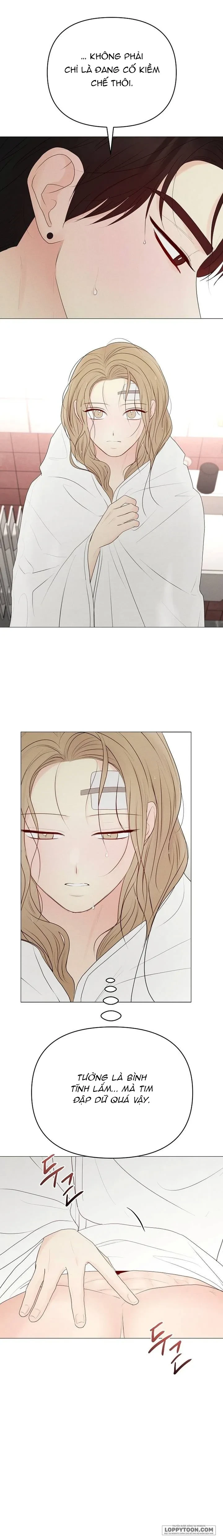 Soái Ca Kiểu Mẫu Chapter 37 - 19