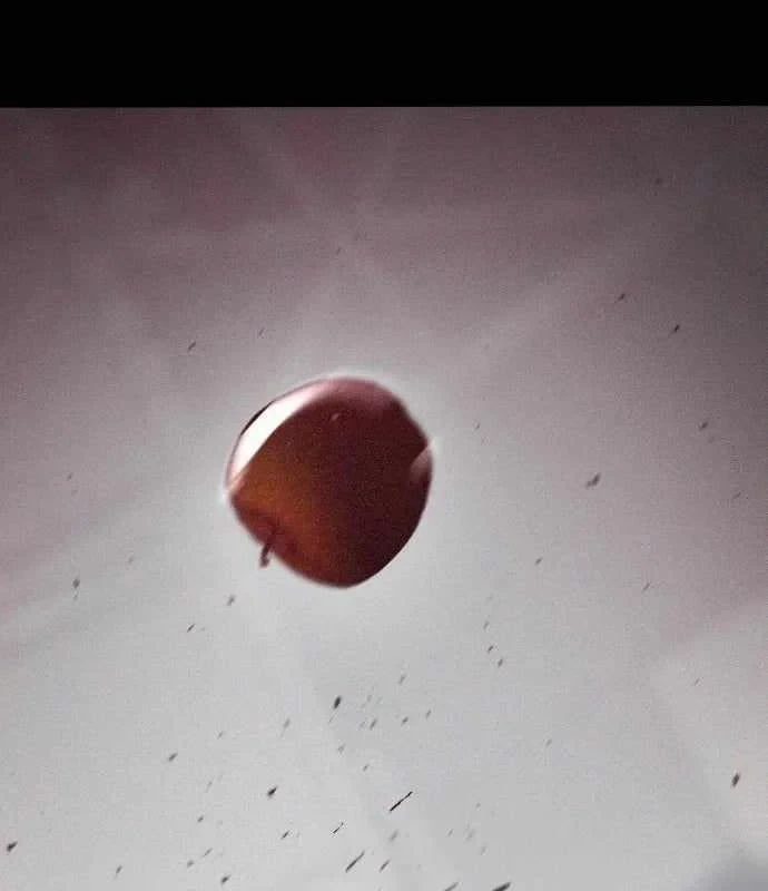 Bóng Ma Của Bratva Chapter 7 - 137