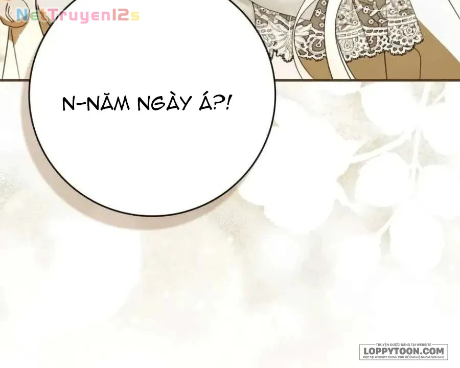 Tôi Sẽ Đổi Chồng Trước Bằng Hôn Nhân Cướp Đoạt Chapter 39 - 7