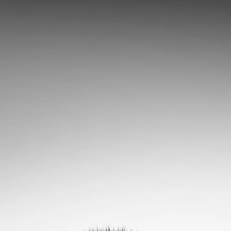 Ma Thần Chapter  3 - 45