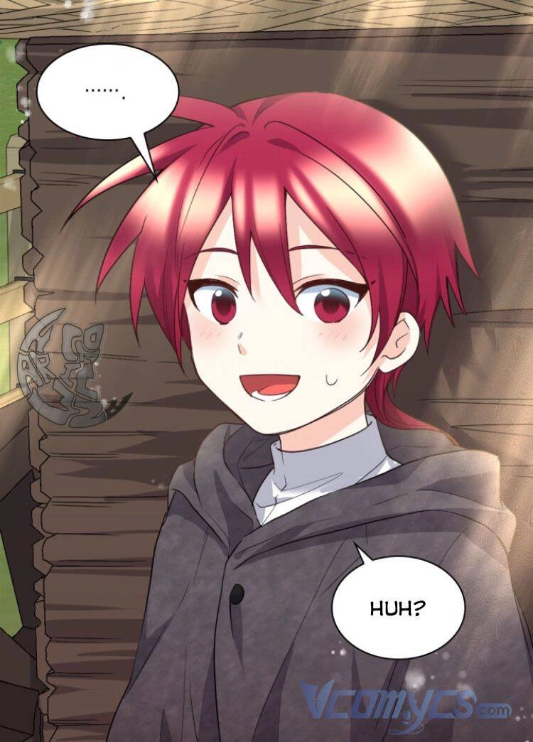 Sinh Đôi Xuyên Không Chapter 111 - 15