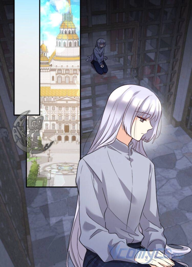 Sinh Đôi Xuyên Không Chapter 112 - 42