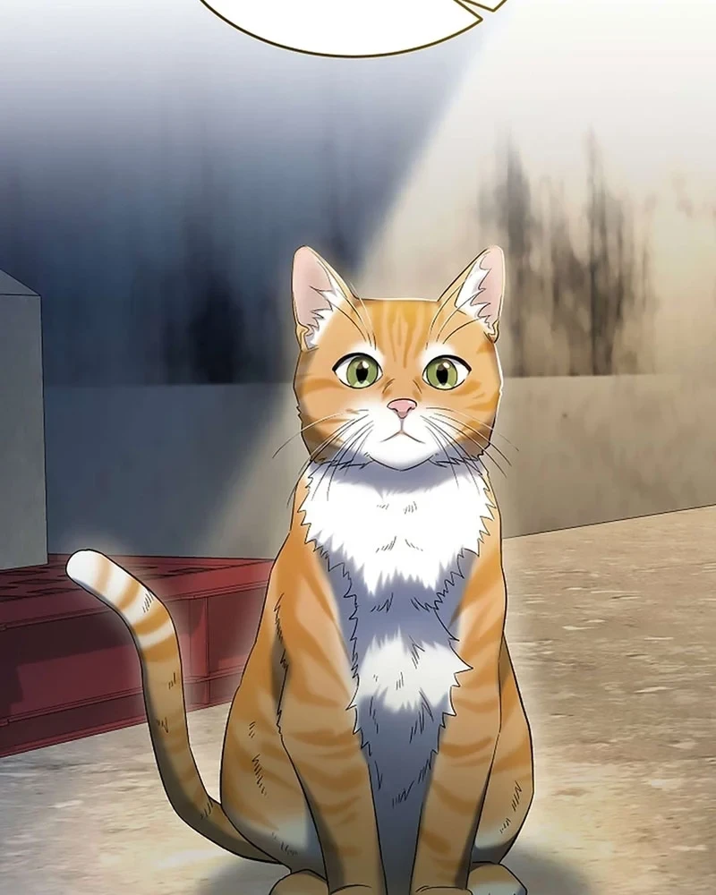 Bị Vu Oan, Tôi Đầu Thai Thành Cháu Trai Của Kẻ Thù Chapter 10 - 50