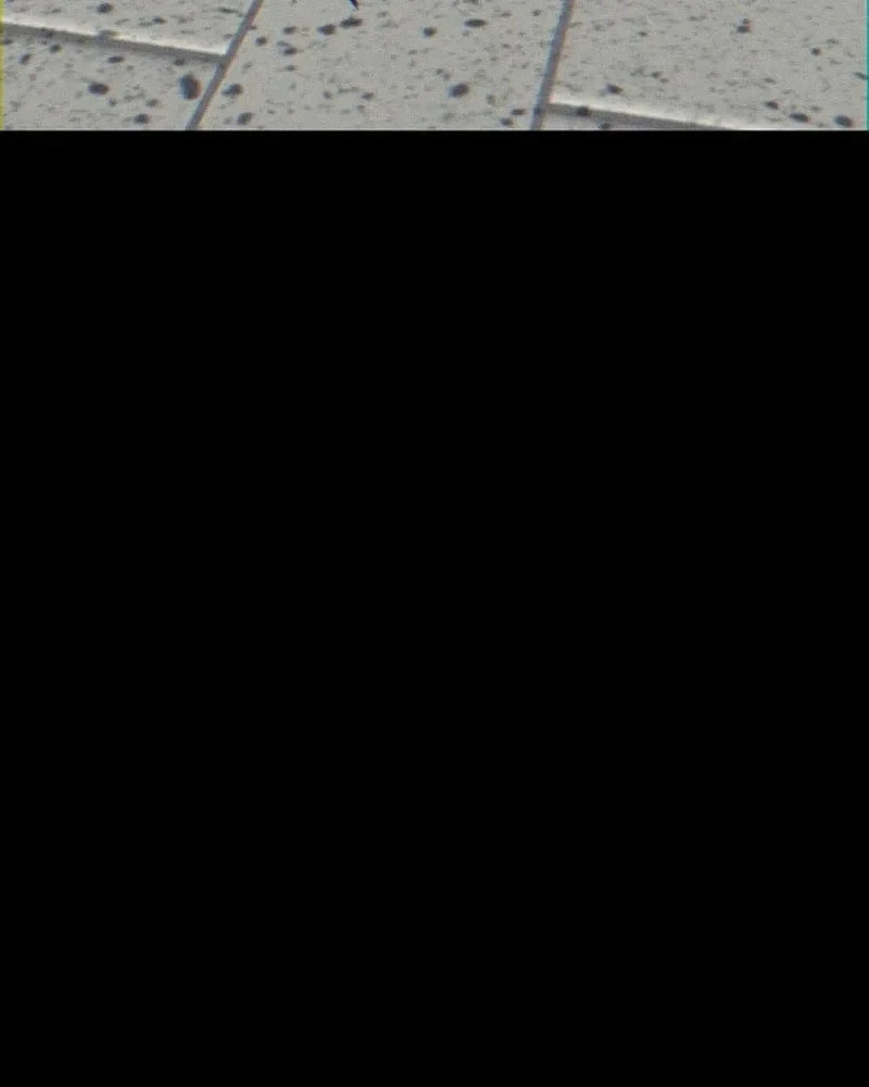 Bị Vu Oan, Tôi Đầu Thai Thành Cháu Trai Của Kẻ Thù Chapter 11 - 76