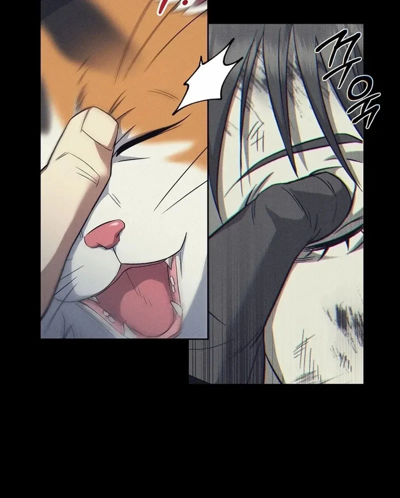 Bị Vu Oan, Tôi Đầu Thai Thành Cháu Trai Của Kẻ Thù Chapter 13 - 67