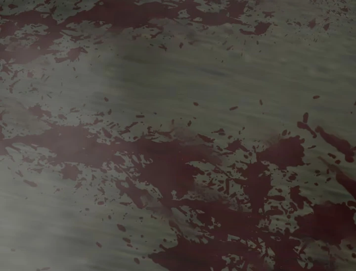 Quỷ Dị Bệnh Kiều Mà Ta Vẽ Thành Thật Rồi Chapter 15 - 63