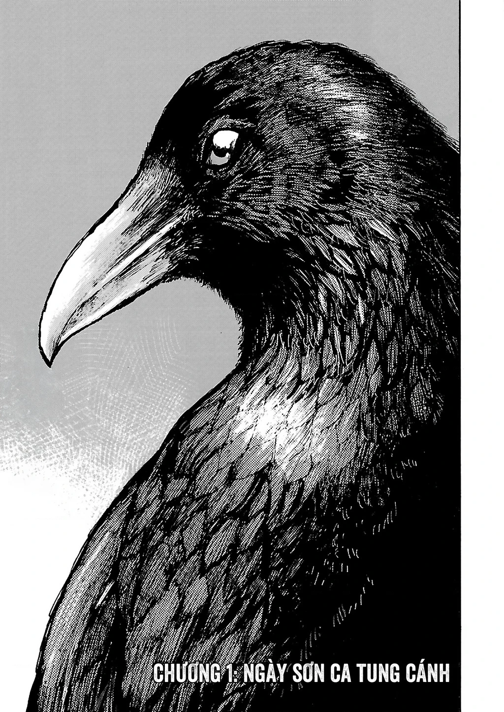 Dustland Chapter 1 - 3