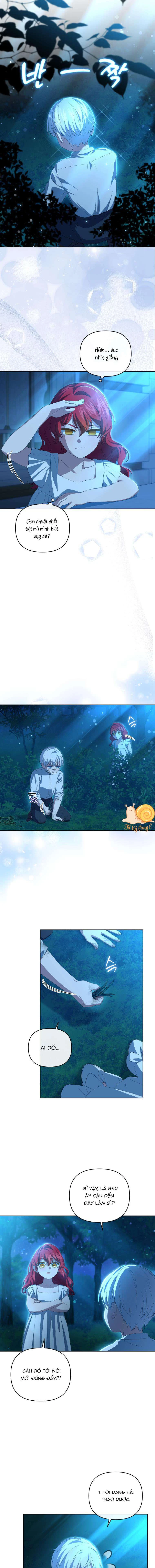 Gặp lại kẻ thù ở lễ đính hôn Chapter  5 - 13