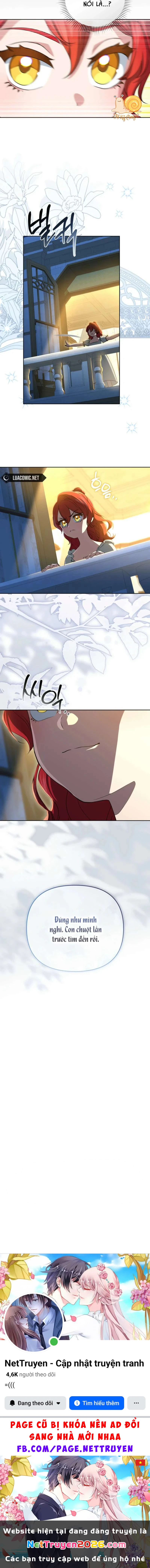 Gặp lại kẻ thù ở lễ đính hôn Chapter  19 - 17