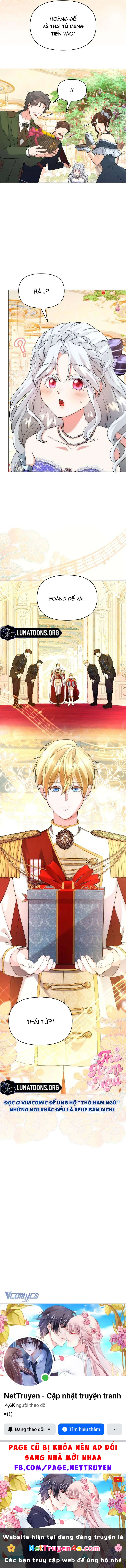 Tiểu Thư Út Của Gia Tộc Công Tước Phương Bắc Bị Lỗi Thiết Lập Rồi Chapter  5 - 7