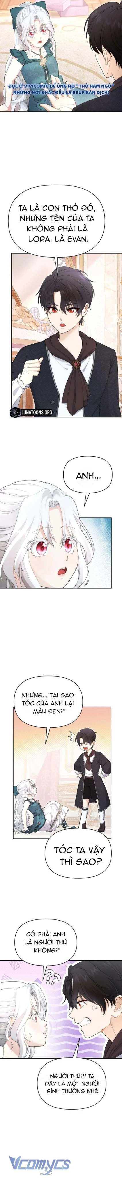 Tiểu Thư Út Của Gia Tộc Công Tước Phương Bắc Bị Lỗi Thiết Lập Rồi Chapter  9 - 13