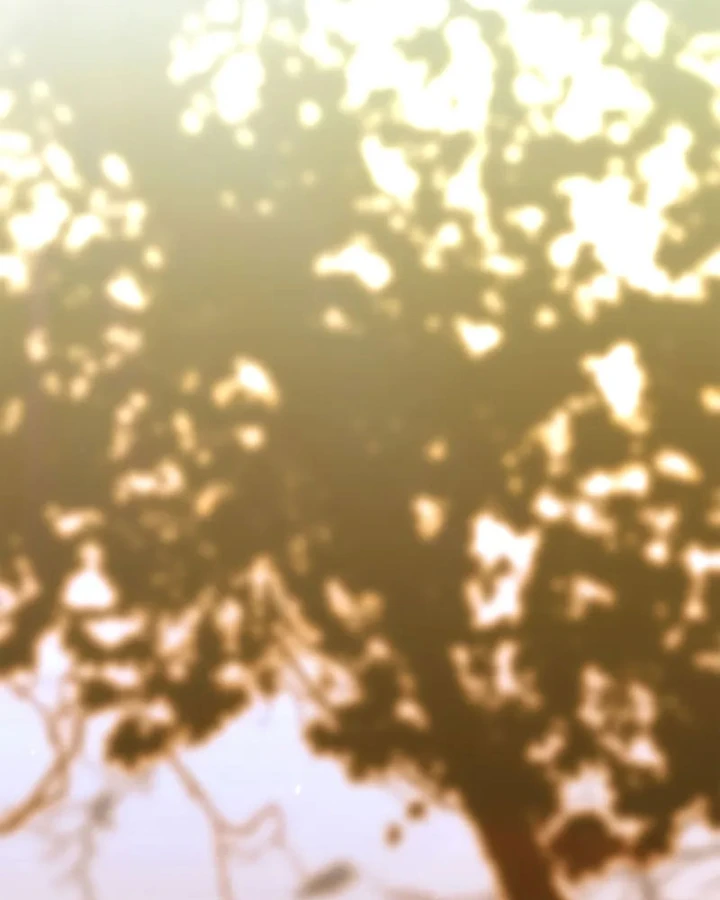 Mộng Dưới Ánh Trăng Chapter 6 - 49