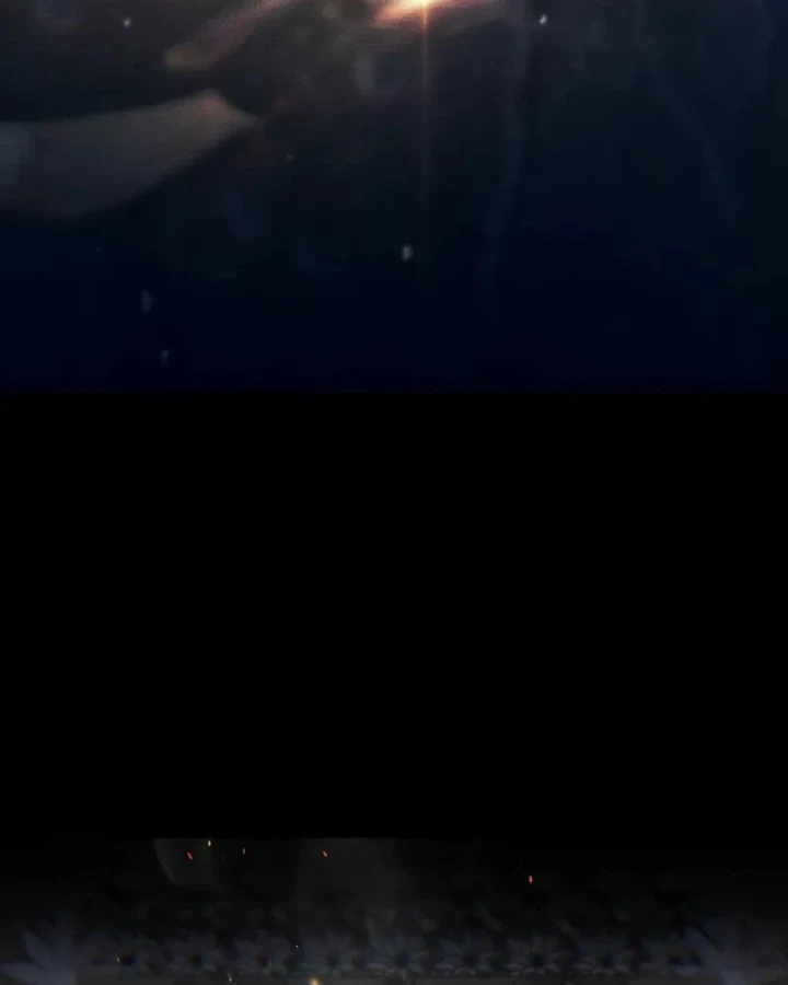 Mộng Dưới Ánh Trăng Chapter 14 - 77